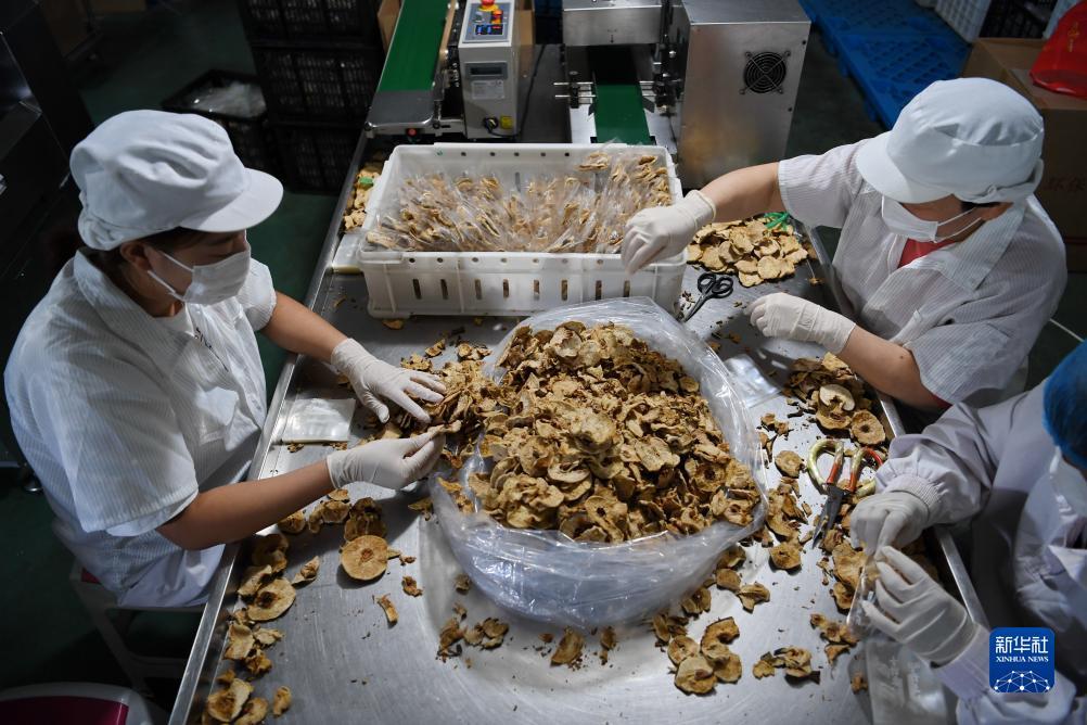 赠送彩金的游戏平台